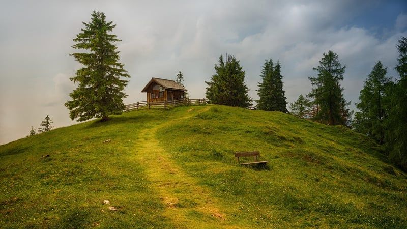 Créer une cabane en bois pour enfants : plans et étapes indispensables en 2026