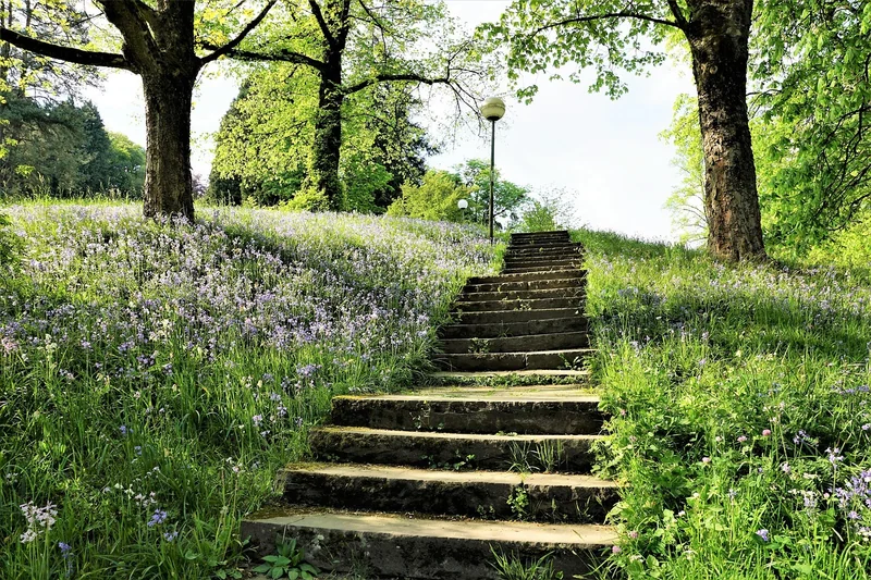 Étape par étape : mon guide pour un jardin vertical réussi