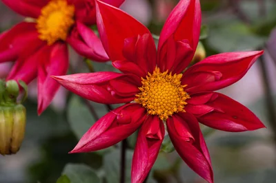 Créez votre jardin vertical éco-responsable avec des matériaux recyclés en 2026