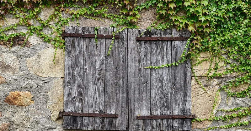 Le cas particulier des fenêtres en bois