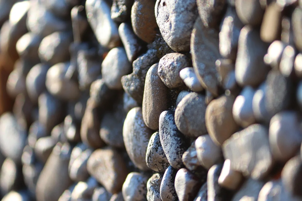 Les meilleurs matériaux recyclés pour un mur végétal