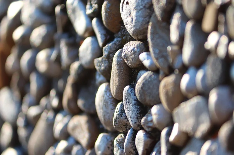 Les meilleurs matériaux recyclés pour un mur végétal