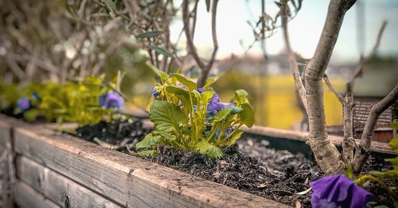 Fabriquer une jardinière en bois pour une terrasse : le guide pas à pas