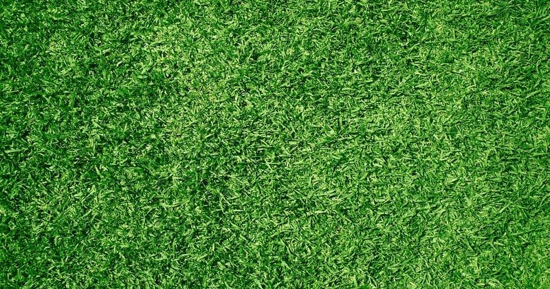 Les différentes techniques pour poser du gazon synthétique au jardin