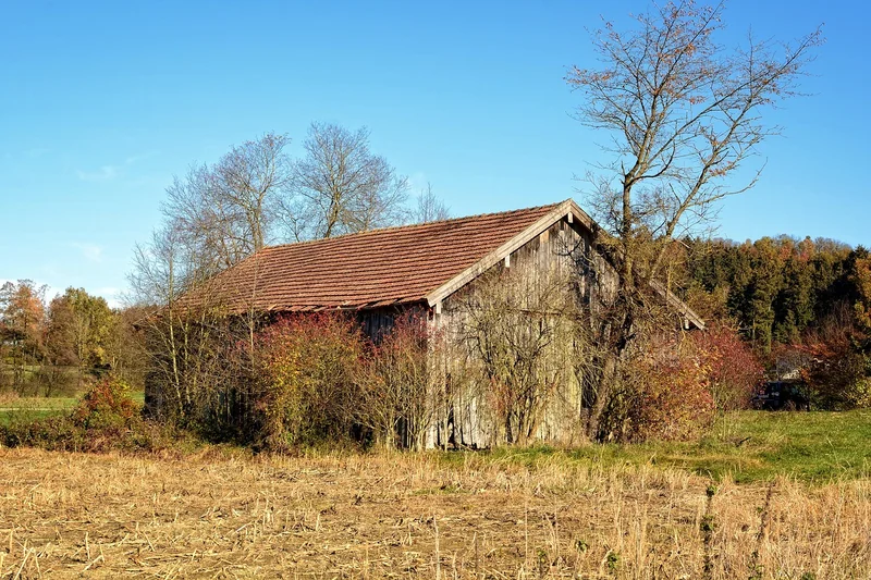 Étapes de construction : de la fondation au toit